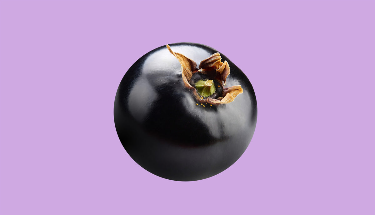 Blackcurrant Seed Oil