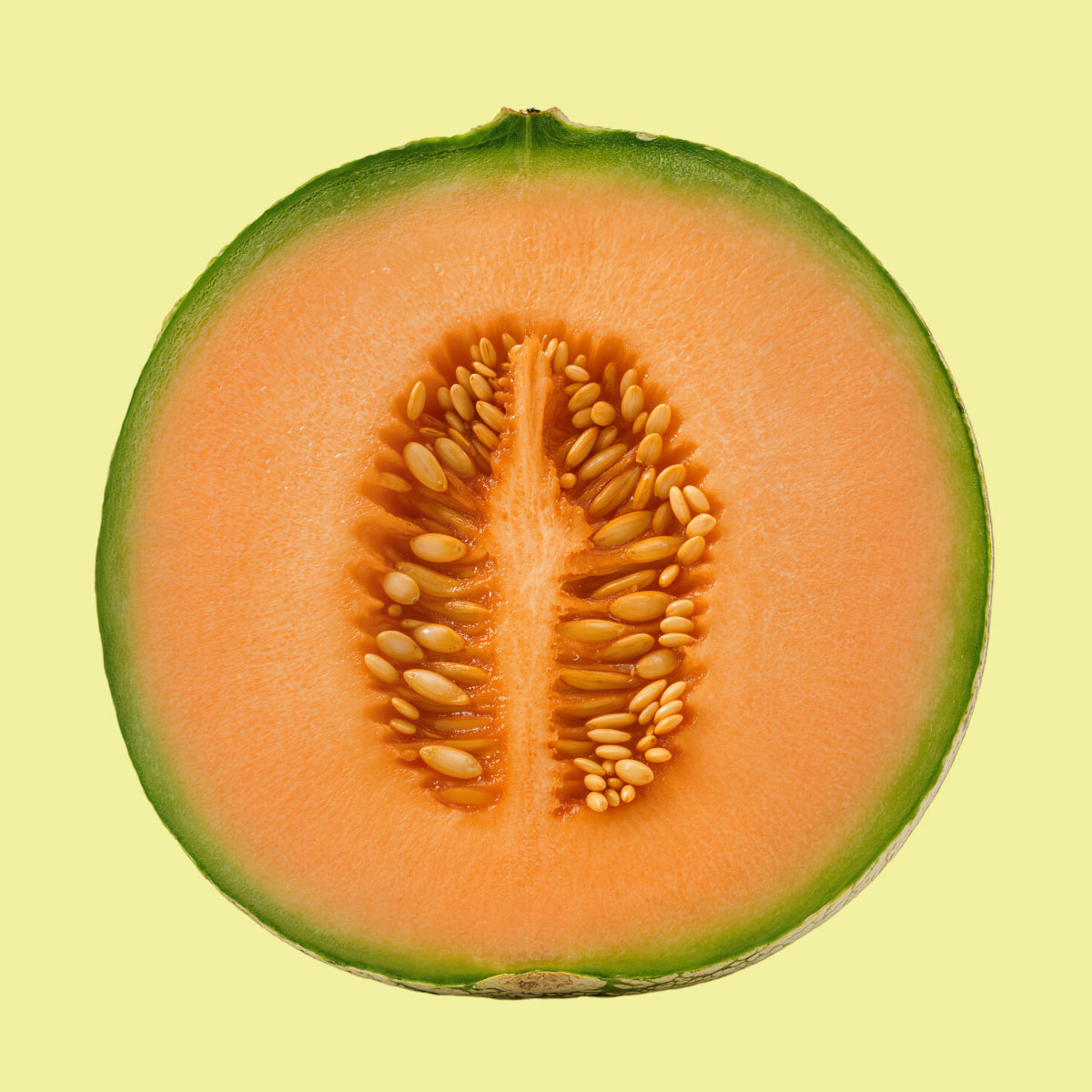 Cantaloupe Melon Extract