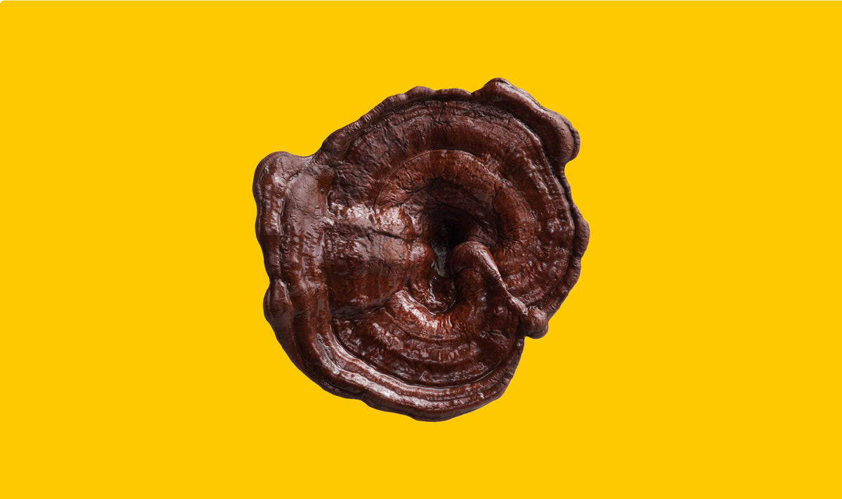 Reishi