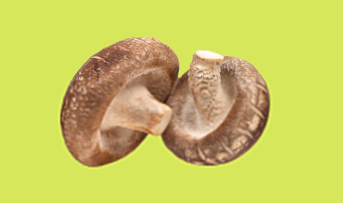 Shiitake