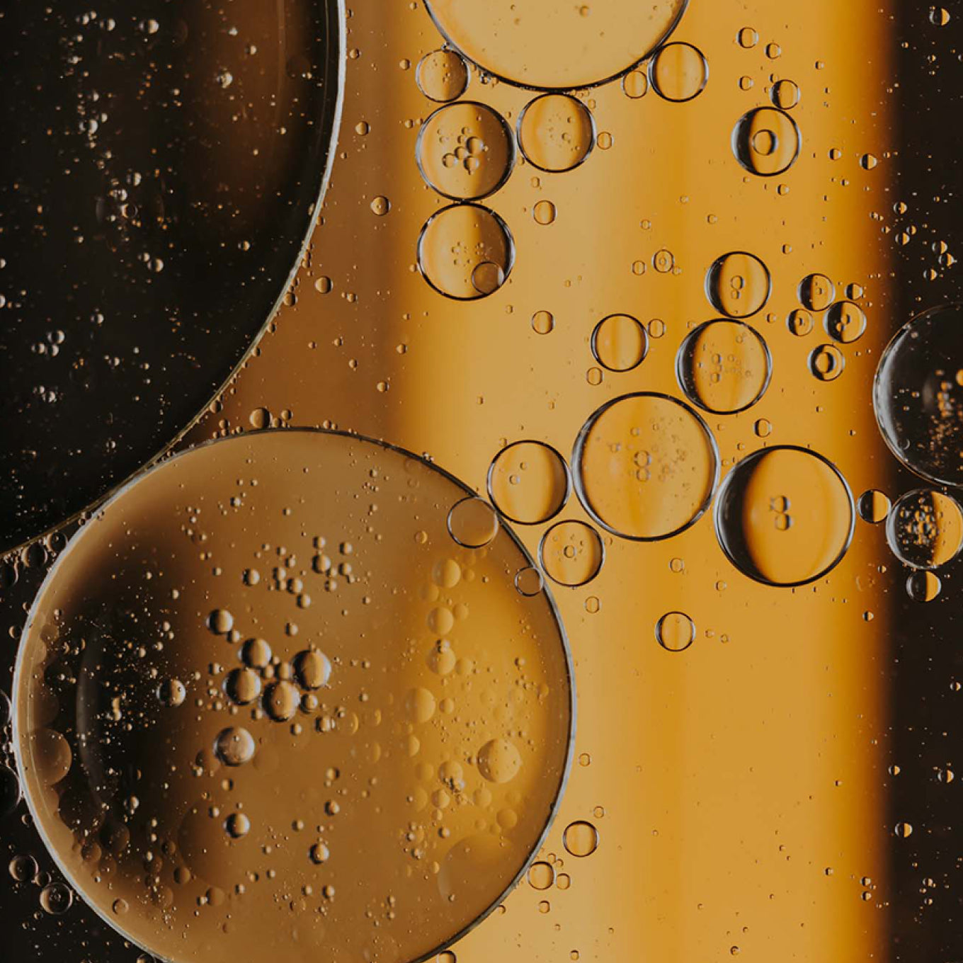 Äppelcidervinäger