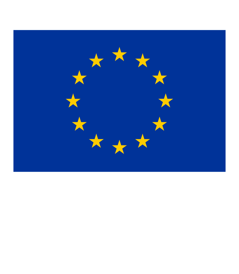 Co-funded by the European Union